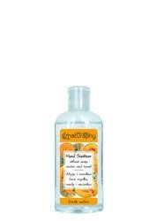 Hand Sanitizer with the fragrance of melon 100 ml